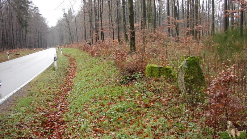 Ritterstein Nr. 126-4 Altes Forsthaus 15 Schr..JPG - Ritterstein Nr.126 15 Schr. Altes Forsthaus                                Ritterstein Nr.126 Altes Forsthaus 15 Schr.